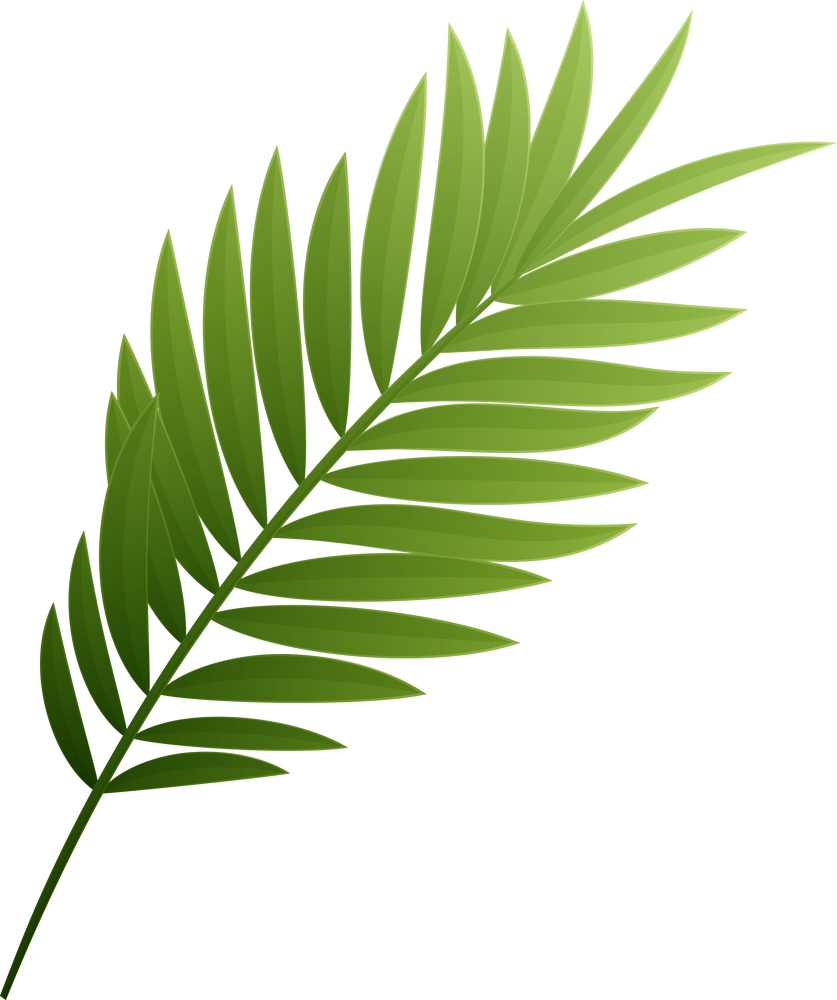 Leaf Tropic Palm