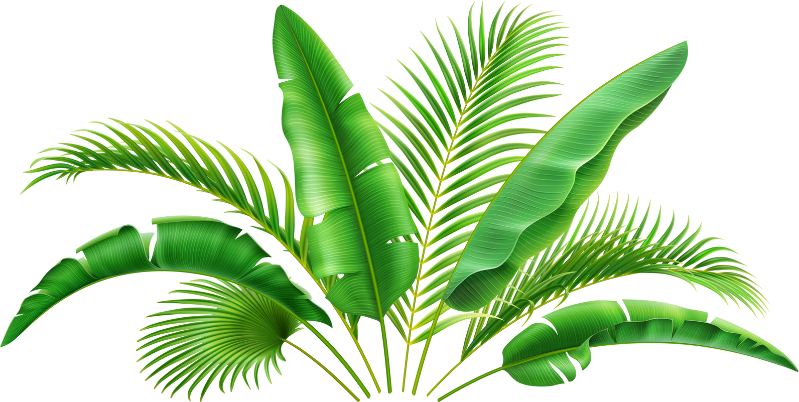 3D realistic bush of green tropical palm leaves